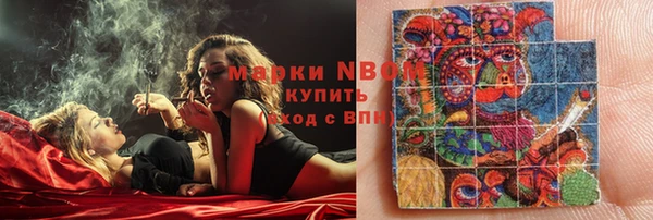 шишки Алагир