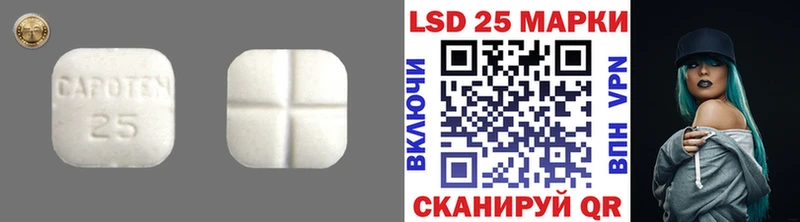 ЛСД экстази ecstasy магазин Чаплыгин